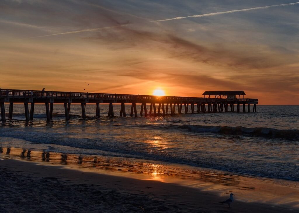Fish from the Tybee Pier & Pavilion