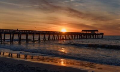 Fish from the Tybee Pier & Pavilion