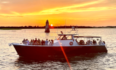 Embark on a Dolphin Tour